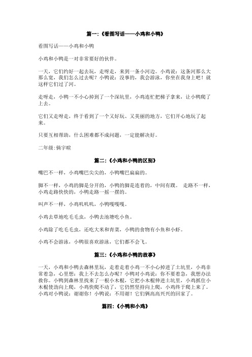 小鸭和小鸡400字