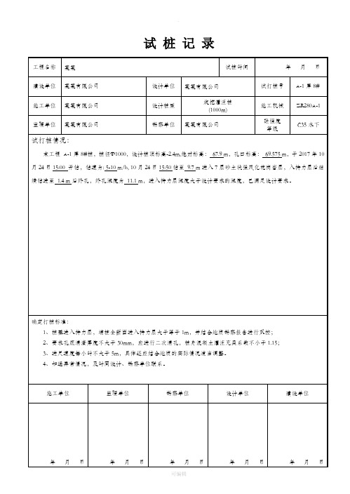 旋挖灌注桩试桩记录