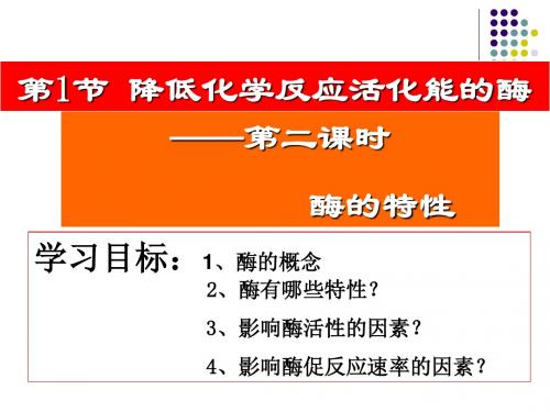 酶的特性