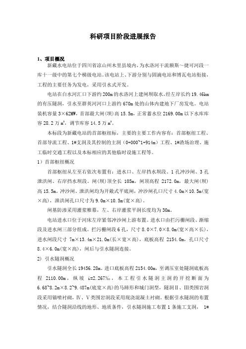 科研项目阶段进展报告