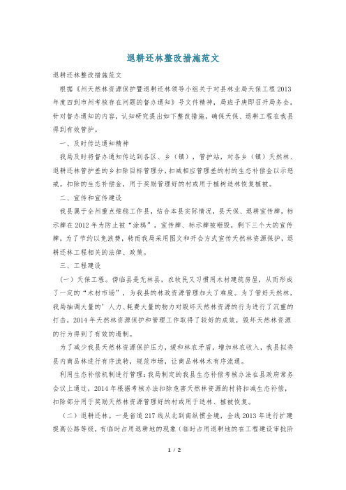 退耕还林整改措施范文