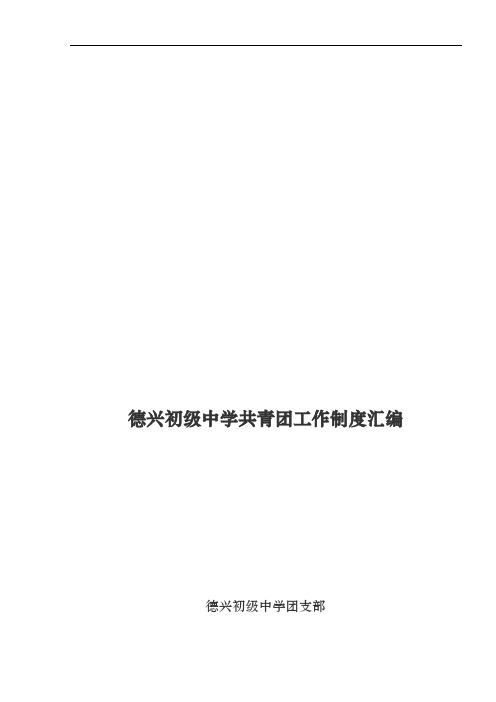 共青团工作制度汇编