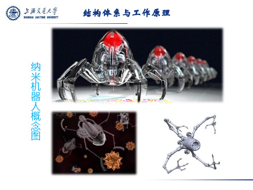 纳米机器人结构体系与工作原理
