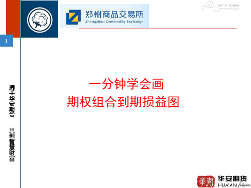 一分钟学会画期权组合到期损益图