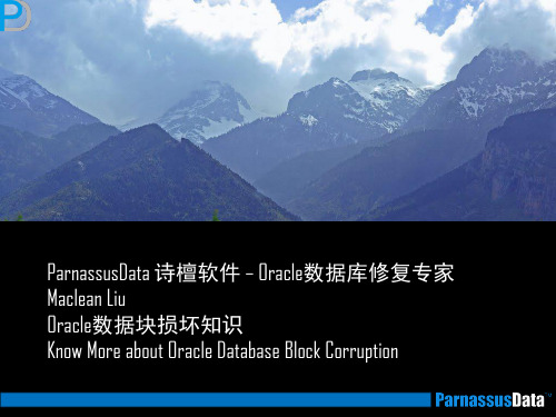 Oracle数据块损坏知识