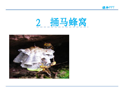 (完整)五级下册语文课件捅马蜂窝冀教版精品PPT资料精品PPT资料