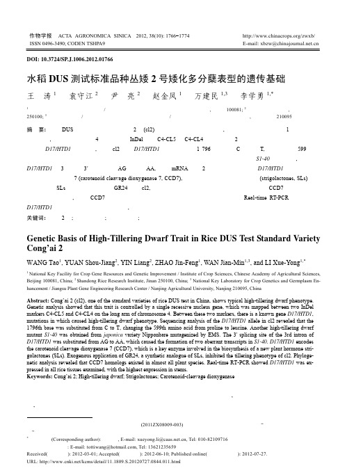 水稻DUS测试标准品种丛矮2号矮化多分蘖表型的遗传基础