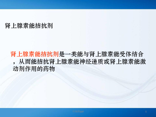 肾上腺素能受体