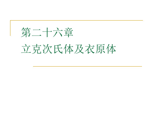 立克次体衣原体