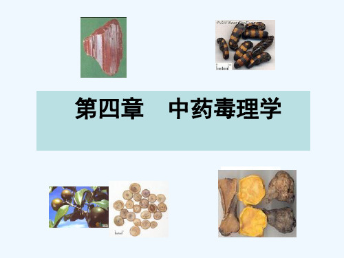 研究生中药药理学课件中药毒理学