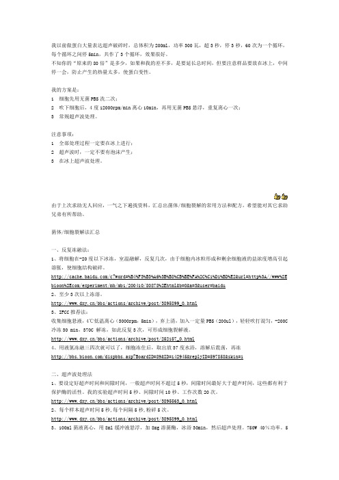 细胞裂解