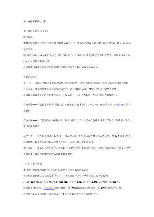 中一花园营销报告