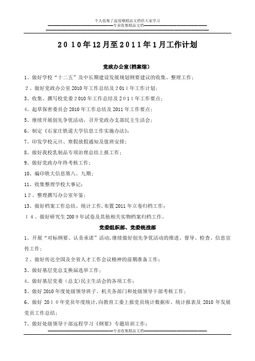 2010年12月至2011年1月工作计划
