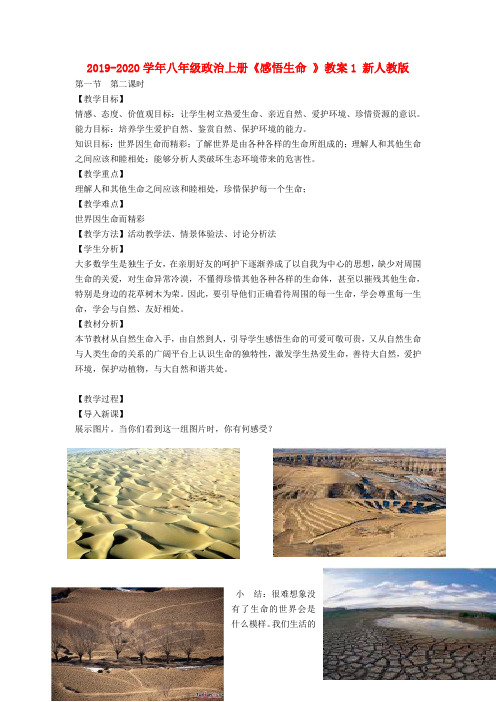 2019-2020学年八年级政治上册《感悟生命 》教案1 新人教版.doc