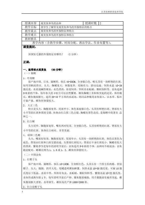 鱼和鸟的品种