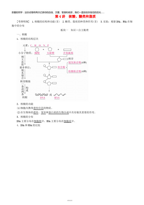 2019高考生物一轮复习第4讲核酸、糖类和脂质讲练结合学案