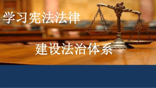 2015版_第六章学习宪法法律_建设法治体系