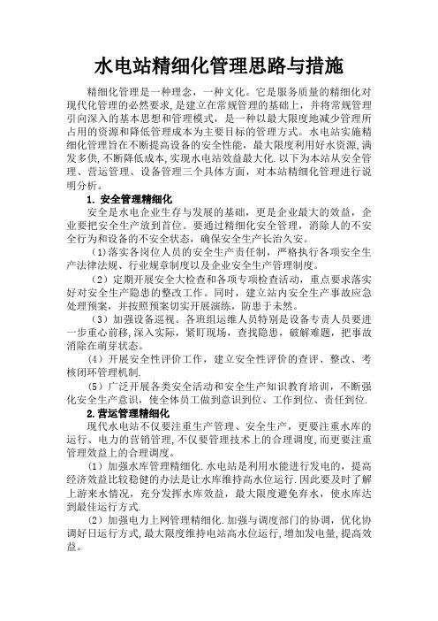 水电站精细化管理思路与措施