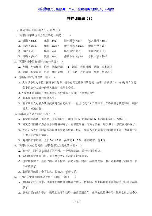 2012中考语文精粹试题训练1(四川专用)