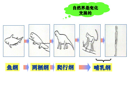 哲学与人生第五课一用发展的观点看待人生过程bixs