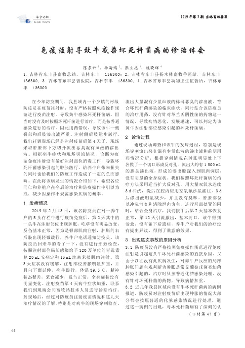 免疫注射导致牛感染坏死杆菌病的诊治体会