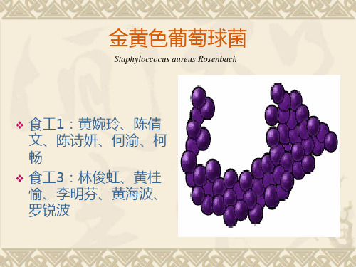 金黄色葡萄球菌—PPT