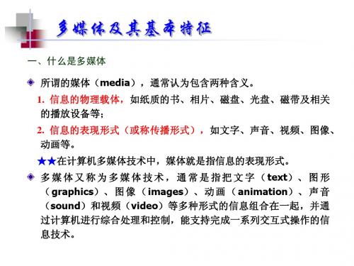 第1章  多媒体基础知识简介LQN