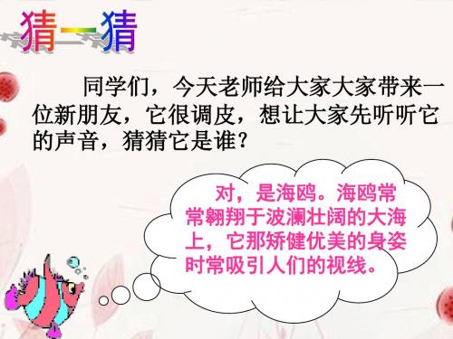 6、飞吧,海鸥(课件)