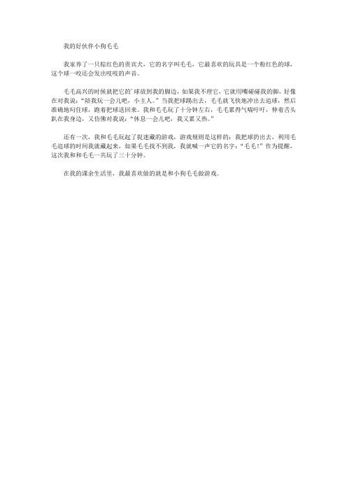 我的好伙伴小狗毛毛精选作文范文