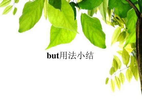 but 用法小结