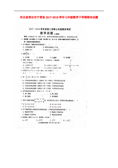 河北省邢台市宁晋县2017_2018学年七年级数学下学期期末试题(扫描版)含答案