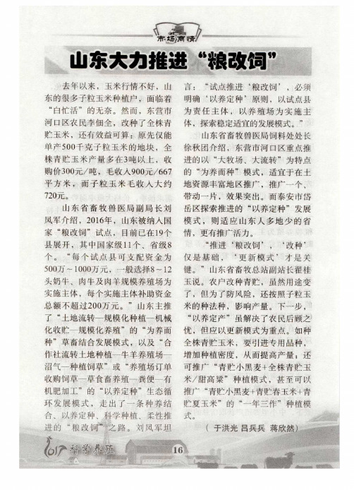 山东大力推进“粮改饲”