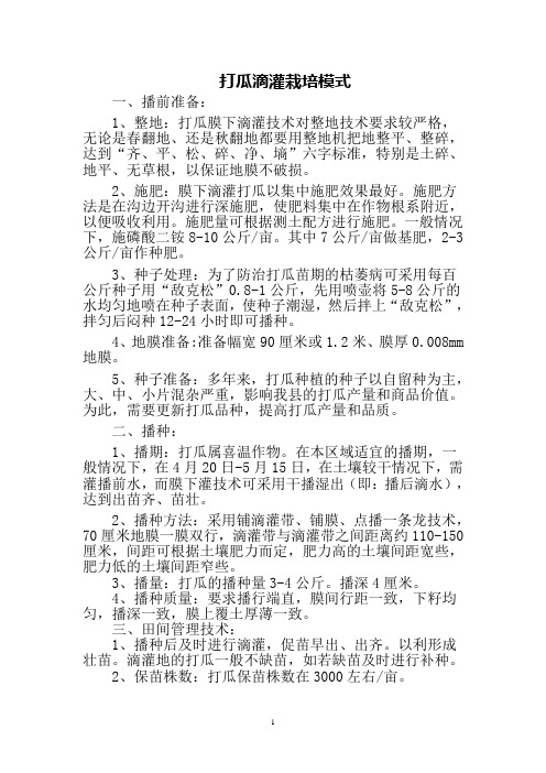 打瓜膜下滴灌栽培模式