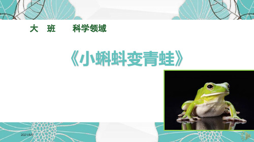 《小蝌蚪变青蛙》-ppt课件