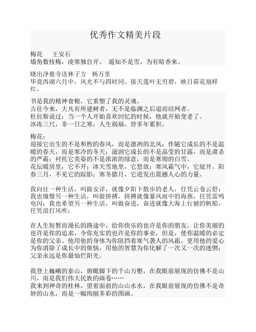 优秀作文精美句子仿写段落素材