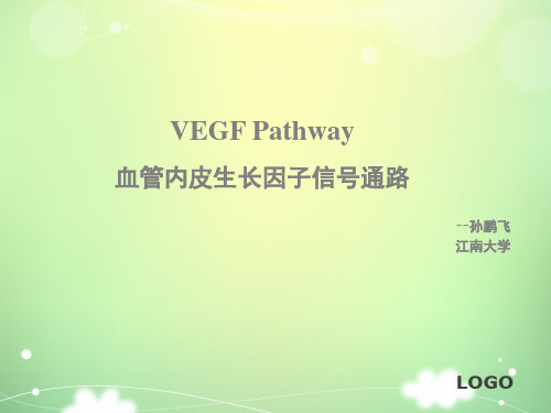 VEGF(血管内皮生长因子)信号通路