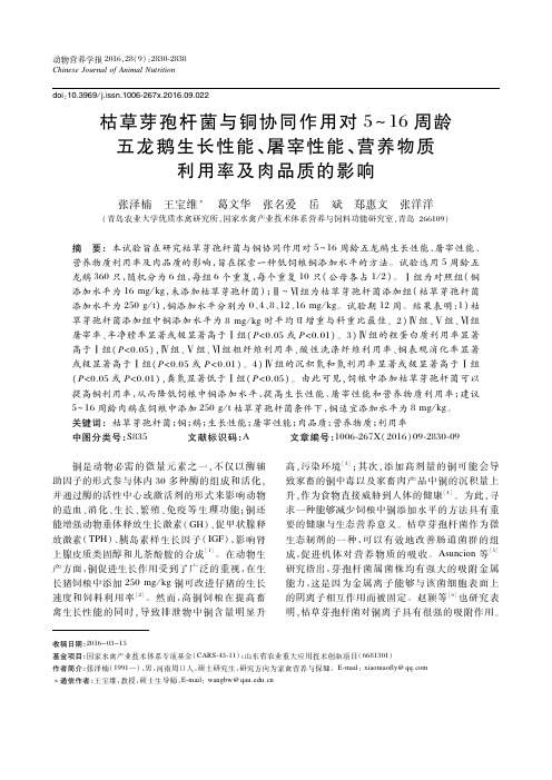 枯草芽孢杆菌与铜协同作用对5～16周龄五龙鹅生长性能、屠宰性能、营养物质利用率及肉品质的影响