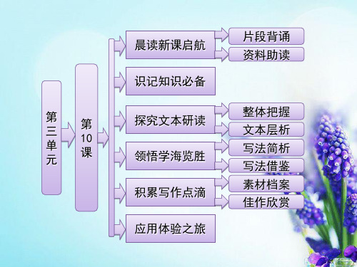 【三维设计】届高中语文 第三单元 第10课 项链精品课件 粤教版必修3