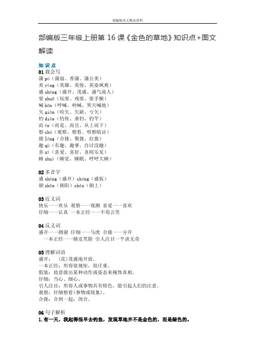 部编版最新三年级语文上册素材-第16课《金色的草地》知识点+图文解读+人教部编版