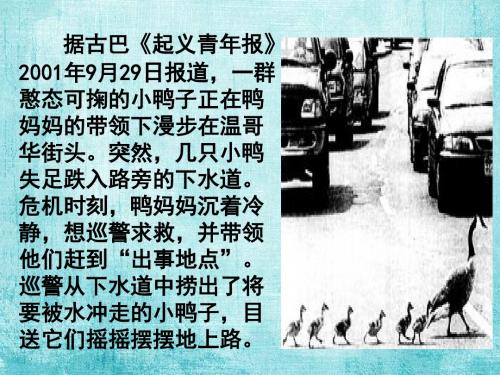 《看新闻图片写故事》