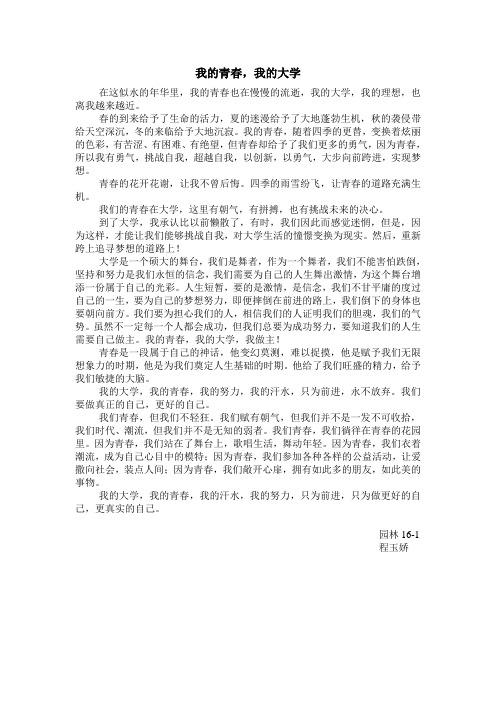 我的青春,我的大学