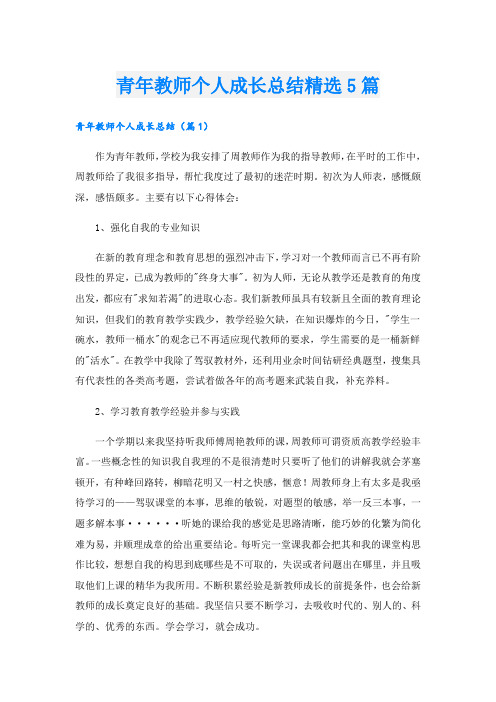 青年教师个人成长总结精选5篇