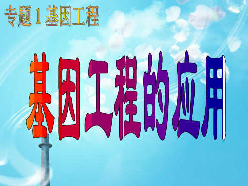 基因工程的应用PPT教学课件