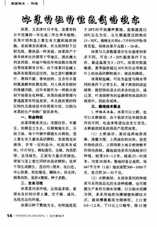 冰菜特征特性及栽培技术