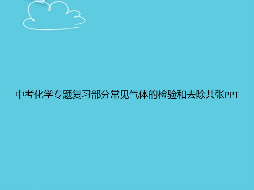 【精选文档】中考化学专题复习部分常见气体的检验和去除共张PPT