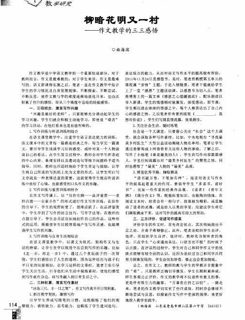 柳暗花明又一村——作文教学的三三感悟