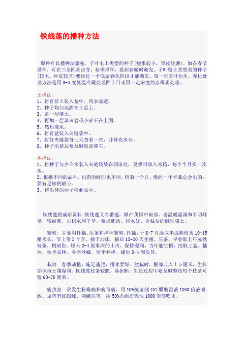 铁线莲的播种方法