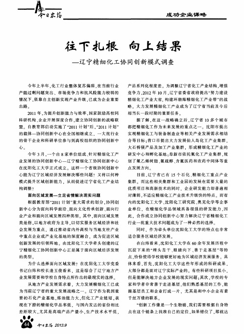 往下扎根.向上结果--辽宁精细化工协同创新模式调查