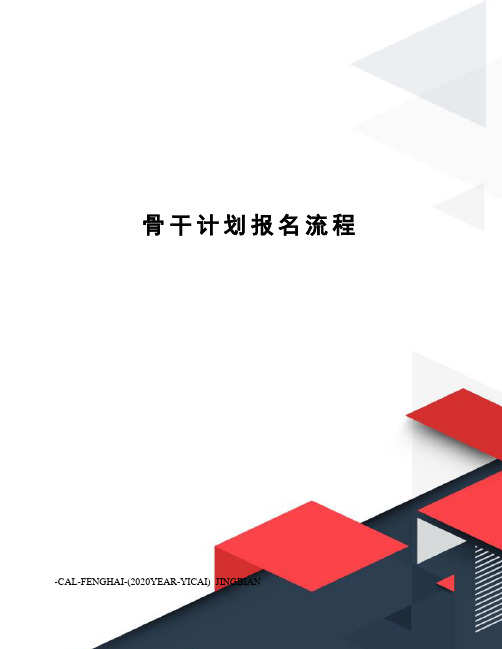 骨干计划报名流程