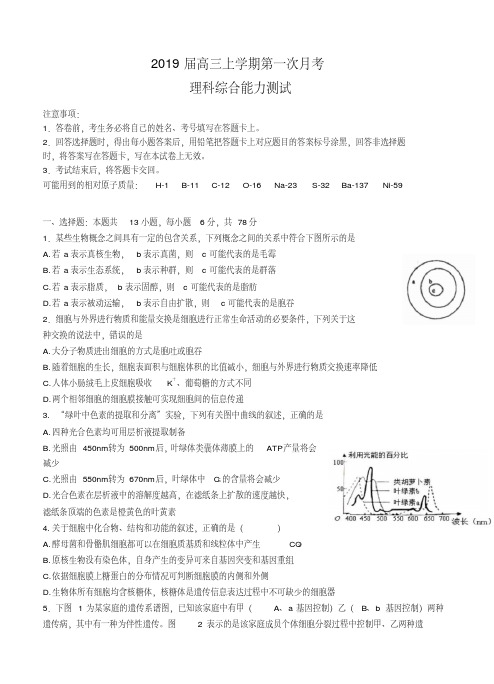 2019届高三上学期第一次月考理科综合试卷(含答案)